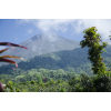 Guatemala terroir