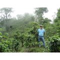 Don Cheo, producteur de notre café Panama