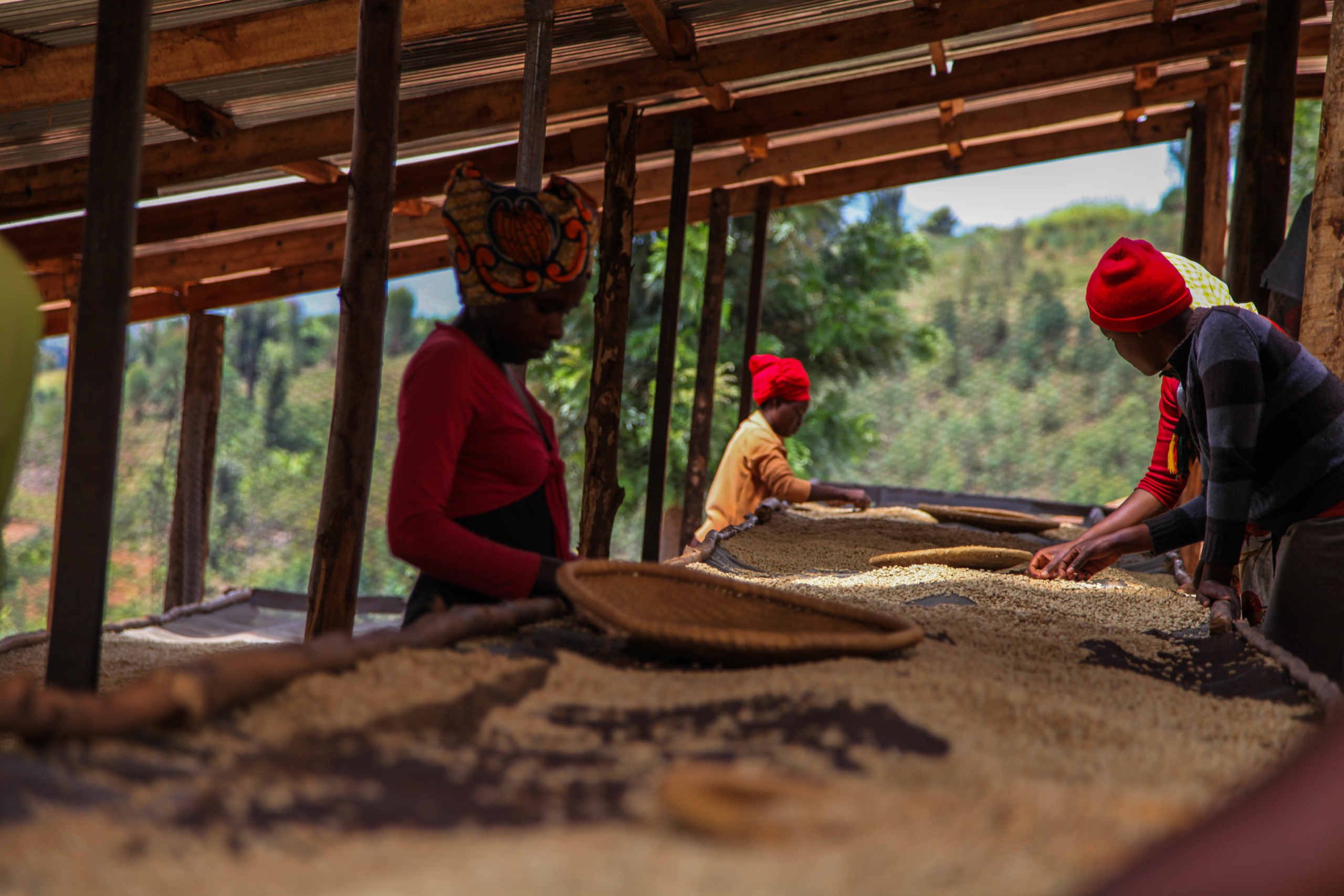 travailleuses de la coopérative au Rwanda