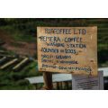 infos coopérative Rwanda
